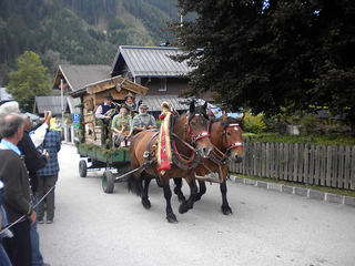 bauernherbst-wald-im-pinzgau006.jpg