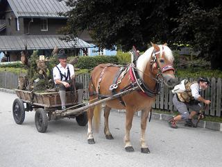 bauernherbst-wald-im-pinzgau007.jpg