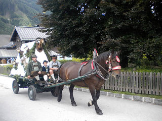 bauernherbst-wald-im-pinzgau009.jpg