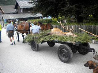 bauernherbst-wald-im-pinzgau011.jpg