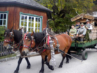 bauernherbst-wald-im-pinzgau012.jpg