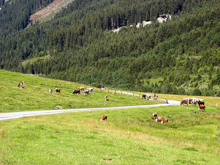 landschaftsbilder-rund-um-krimml006.jpg