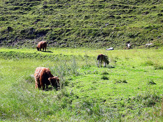 landschaftsbilder-rund-um-krimml007.jpg