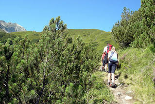 wandern003.jpg